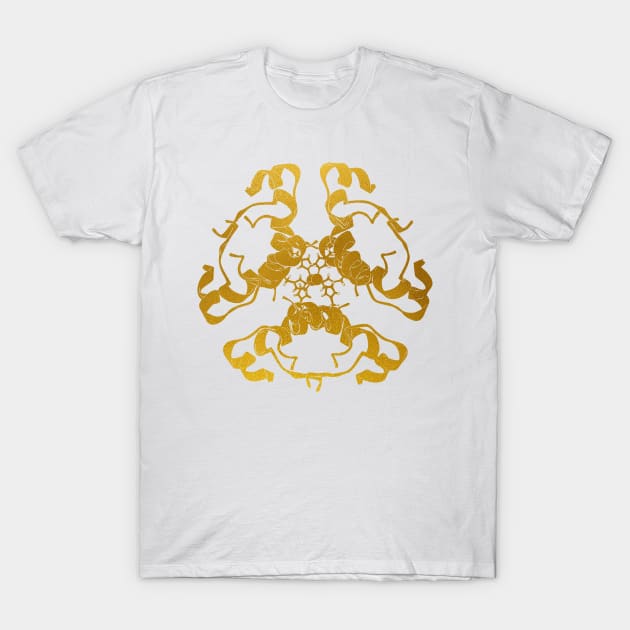 Insulin Structure T-Shirt by erzebeth